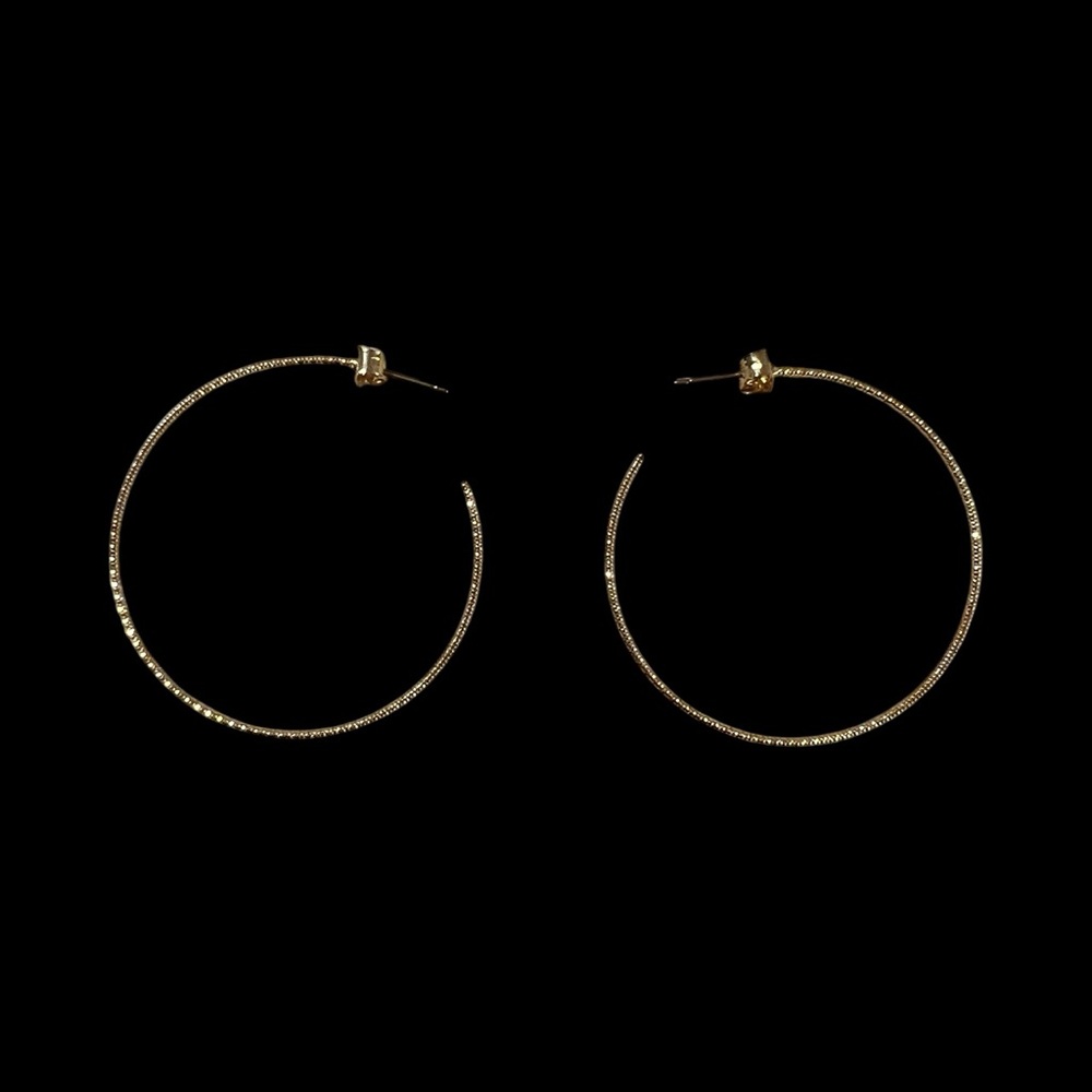 Elegant Gold-Tone Hoop Earrings